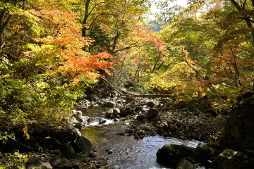 幕滝への遊歩道より 幕滝