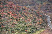 浄土平の紅葉 浄土平の紅葉