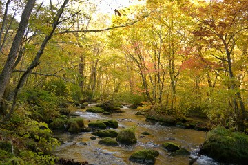 三乱の流れ 奥入瀬渓流