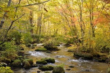 三乱の流れ 奥入瀬渓流