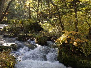 奥入瀬渓流 奥入瀬渓流