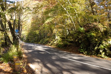 国道102号線 道路