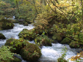 奥入瀬渓流 奥入瀬渓流