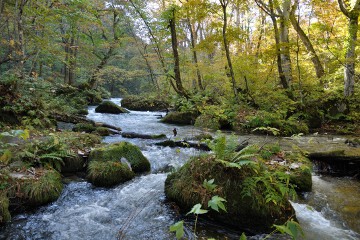 奥入瀬渓流 奥入瀬渓流