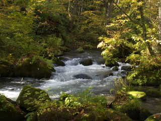阿修羅の流れ、上流 阿修羅の流れ