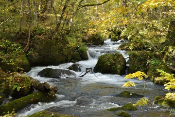 阿修羅の流れ 奥入瀬渓流