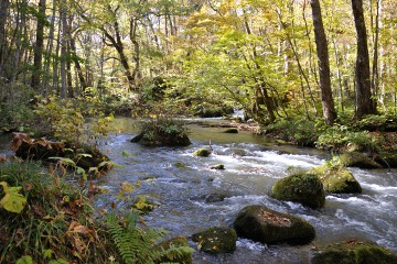 奥入瀬渓流