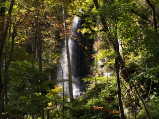 白絹の滝