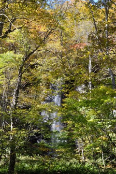 白絹の滝 白絹の滝