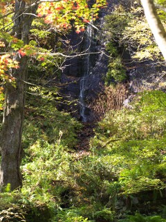 白糸の滝 白糸の滝