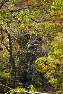 不老の滝 不老の滝