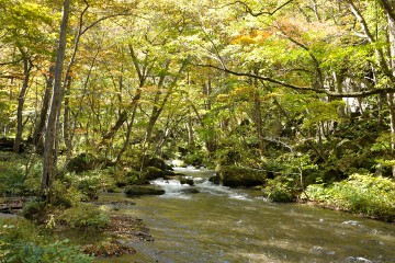 奥入瀬渓流 奥入瀬渓流
