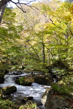 万両の流れ 万両の流れ