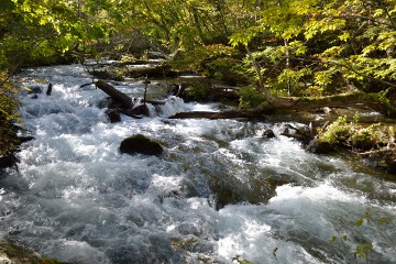 万両の流れ 万両の流れ