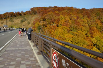 城ヶ倉大橋にて 城ヶ倉大橋