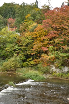 紅葉 浅瀬石川