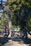 三芳野神社