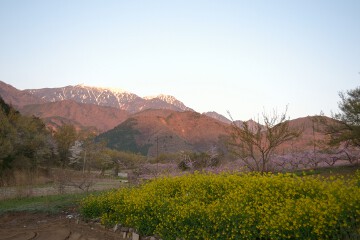 鳳凰三山 新府桃源郷