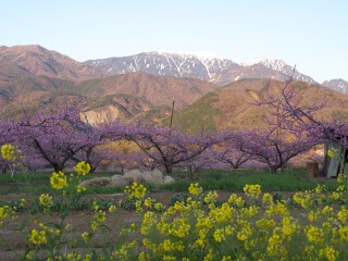 鳳凰三山 新府桃源郷