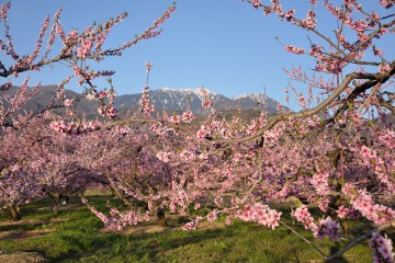 鳳凰三山 新府桃源郷