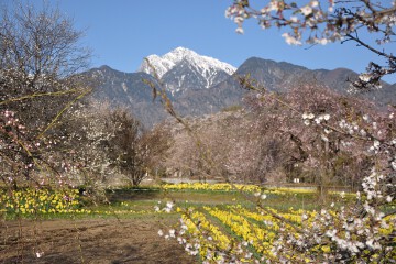 甲斐駒ヶ岳 甲斐駒ヶ岳