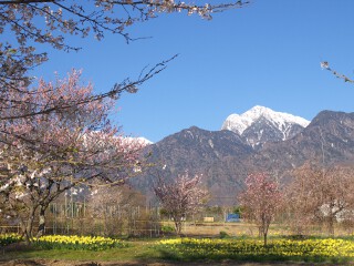 甲斐駒ヶ岳 甲斐駒ヶ岳