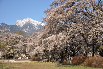 甲斐駒ヶ岳 甲斐駒ヶ岳