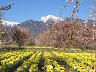 甲斐駒ヶ岳 甲斐駒ヶ岳