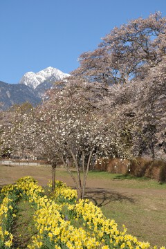 甲斐駒ヶ岳 甲斐駒ヶ岳