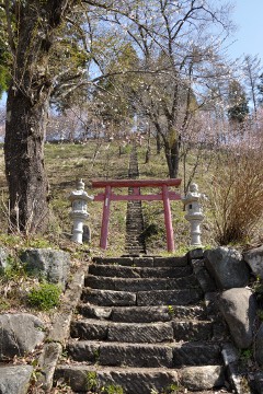 参道 鳥居と石段