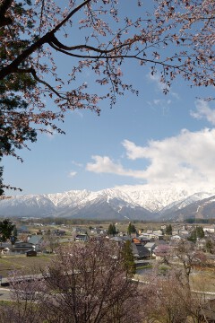 北アルプス 北アルプスを望む