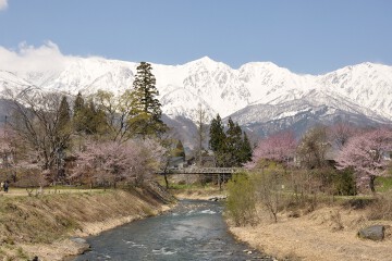 大出公園 春先の白馬連山