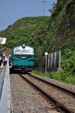 キハ48型橅編成