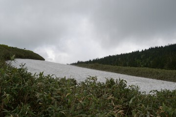 残雪 残雪