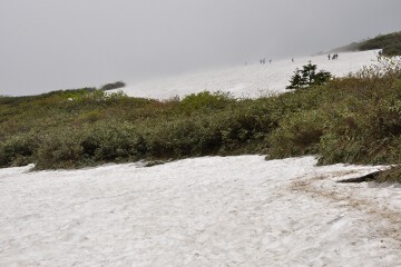 鶴ヶ岱雪渓 鶴ヶ岱雪渓