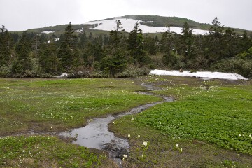 山人平湿原 山人平湿原