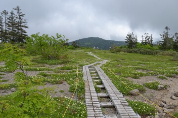山人平 山人平
