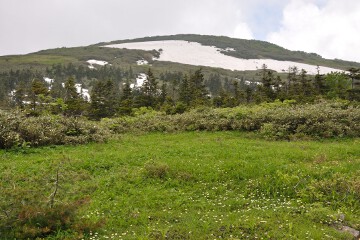 森吉山 森吉山