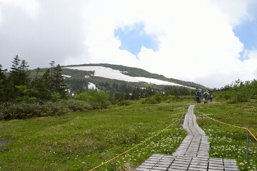 山人平 山人平