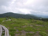 山人平 山人平