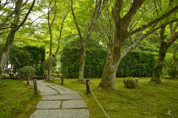 庭園入口 西芳寺