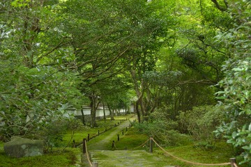 庭園入口 西芳寺