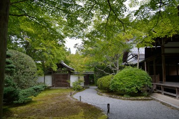 観音堂の前にて入口を見る 西芳寺