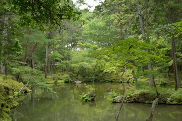 潭北亭前からの眺め 西芳寺 潭北亭