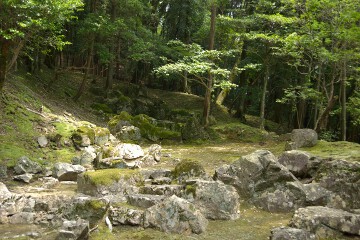 枯山水庭園 西芳寺 枯山水庭園