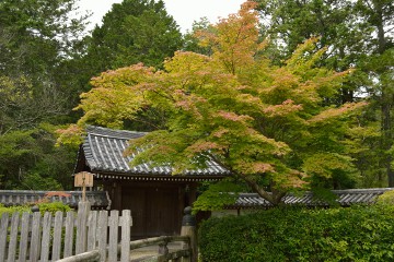 西芳寺 総門 西芳寺 総門