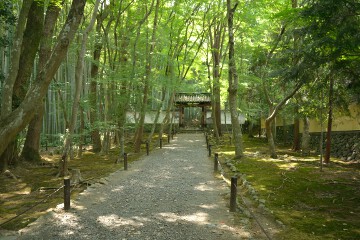 参道 地蔵院