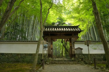 総門 地蔵院