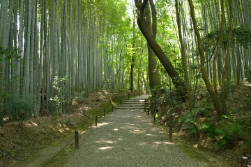 参道 地蔵院