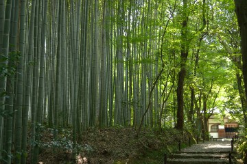 参道の砂利を踏みしめながら… 地蔵院